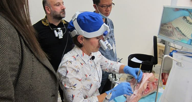 Autogenous Procedures for Implant Placement: mIVAN Technique