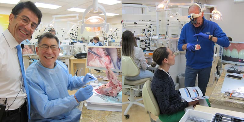 Dental Education Hands-on Courses