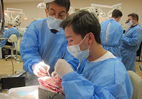 Dental CE Academy: Concepts in Bone Grafting