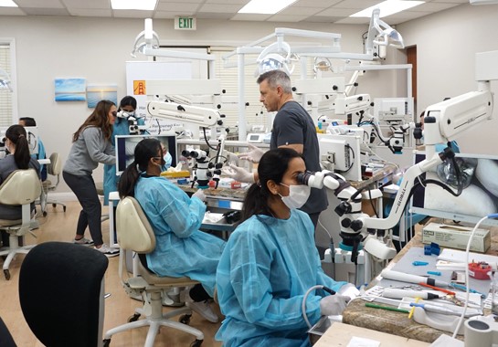 endodontic hands on course for general practitioners