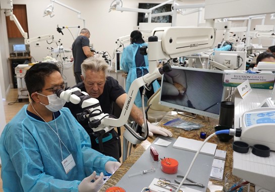 john west endodontics