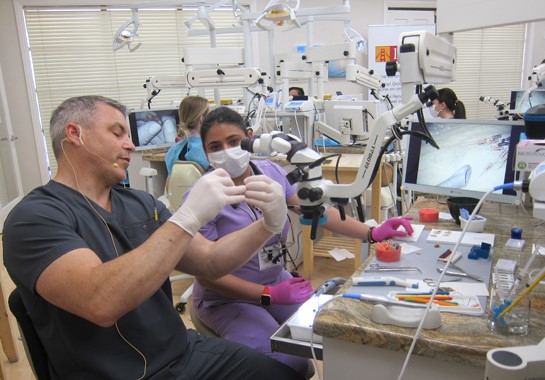 hands on endodontics course california