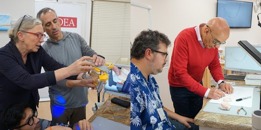 How to Negotiate Dental Fees and Costs