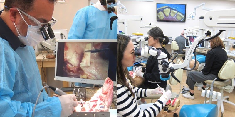 Key Components of a Skill Stack in Dentistry