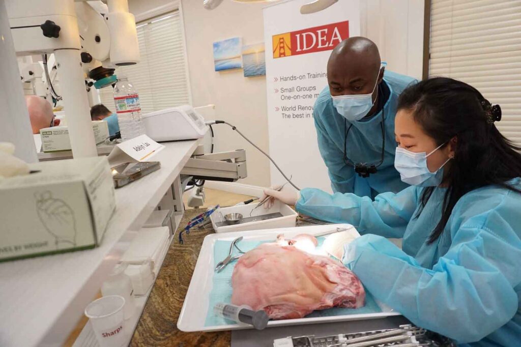 Bone Regeneration Hands on Course