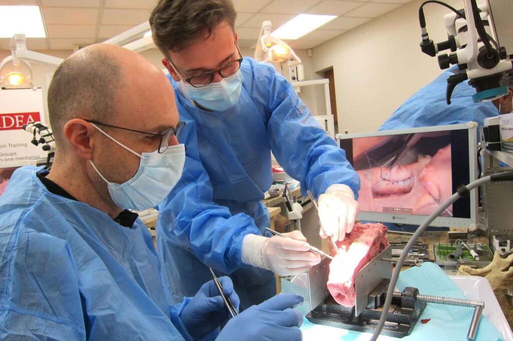 Emerging Trends in Global Dental Education