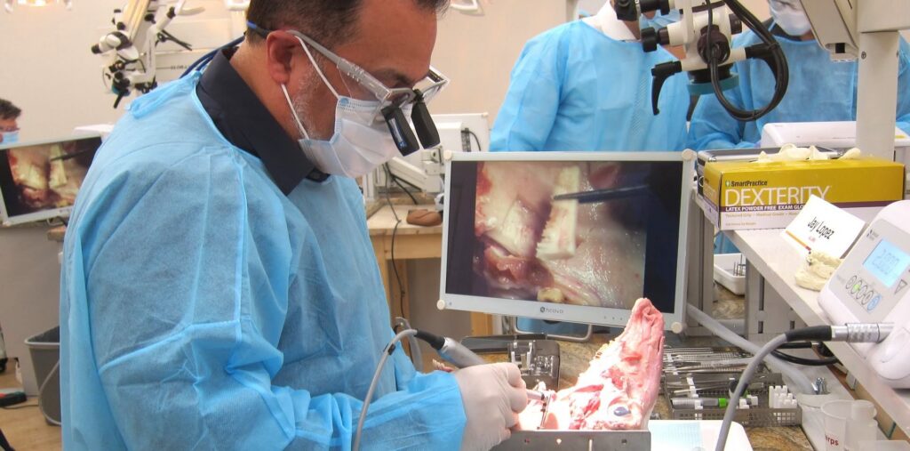 Bone Regeneration Hands on Course img