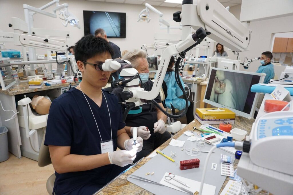 IDEA Courses That Build Microsurgical Endodontic Skills