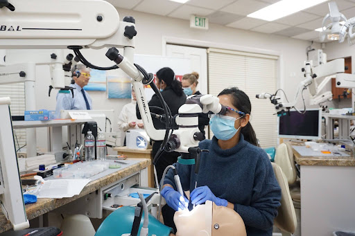 Microscopic Dentistry
