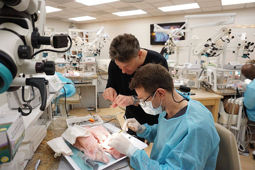Oral Surgery