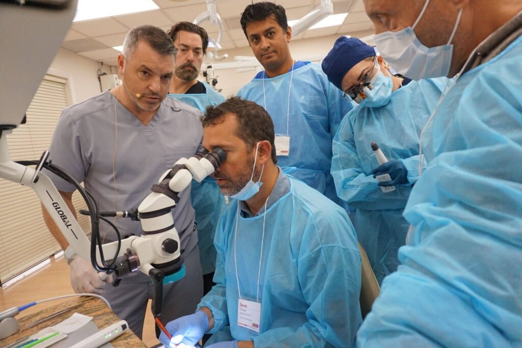 Treatment Options for Vertical Root Fractures