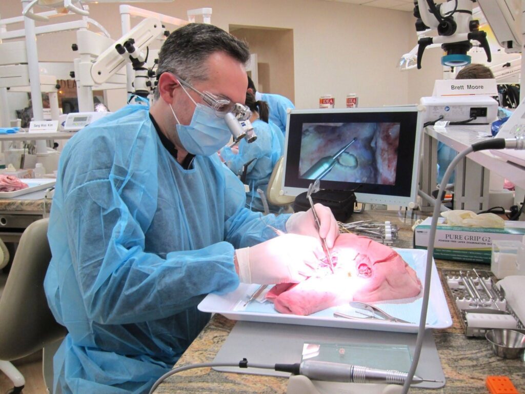 idea Bone Regeneration Hands on Course