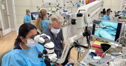Apical Surgery Under the Microscope