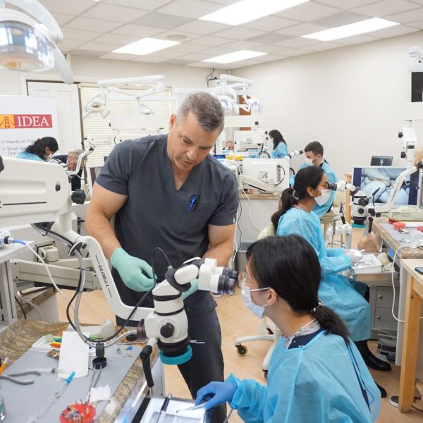 mini-residency in endodontics